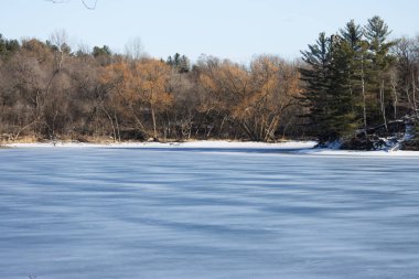 Donmuş göl, donmuş gölle birlikte kış ormanında