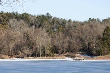 Ağaçlar ve karla kaplı kış manzarası