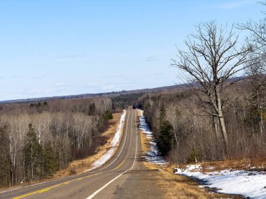 Yolun ormanın içinden