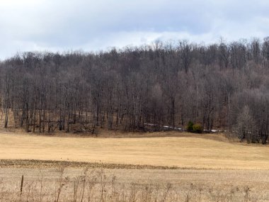 İlkbaharda ağaçlı ve tarlalı kırsal alan