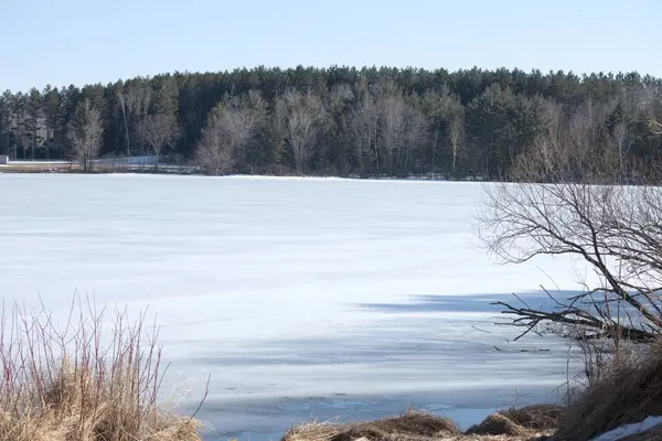 İlkbahar ormanında, karda göl