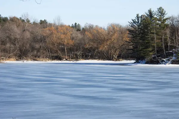 Donmuş göl, donmuş gölle birlikte kış ormanında