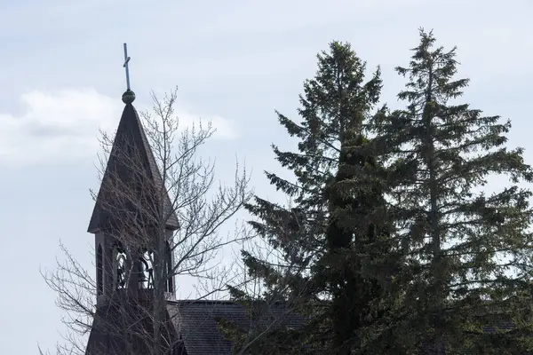 Mavi berrak bir arkaplan üzerinde bir ağacın dikey görüntüsü