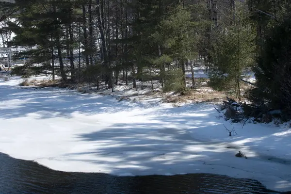 Karda nehir ve ormanın kış manzarası, Rusya. Rusya