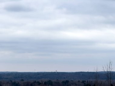 Kar ve bulutlu kış ormanı