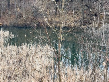 Güzel göl manzarası