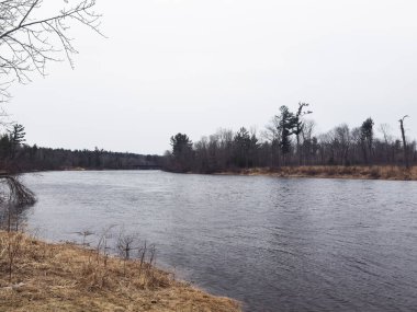 Ağacı olan bir nehir.