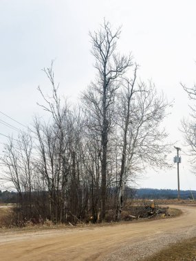 Kırsalda yol, sonbahar manzarası