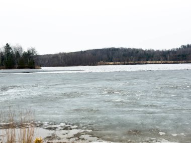 Karla kaplı ağaçlarla kaplı kış manzarası