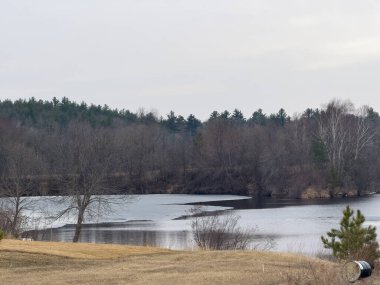 Ağaçlı ve bulutlu göl