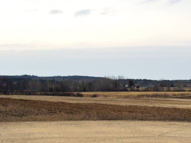Buğday tarlası ve bulutlu gökyüzü olan güzel bir manzara.