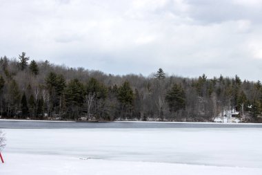 Arkasında donmuş göl olan güzel bir kış manzarası. kış mevsimi