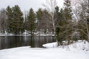 Ormanda kış boyunca göl
