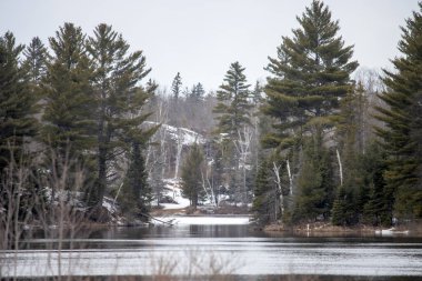 Ormanda bir nehir, ağaçlar ve karlı kış manzarası