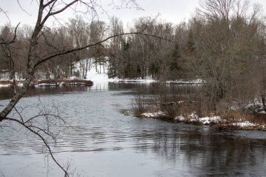 Kışın Donmuş Göl