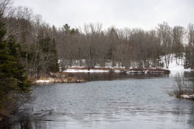 Kar ve ağaçlarla kaplı kış manzarası