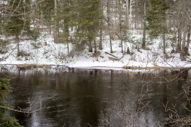 Kış ormanında donmuş bir nehir