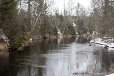 Güneşli bir kış gününde ormanda küçük bir nehir..