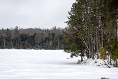 Kış günü donmuş göl