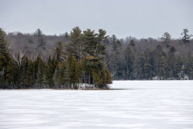 Kanada 'da göl ve ağaçlarla kaplı kış manzarası