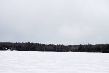 Kar, göl ve ormanla kaplı. kış