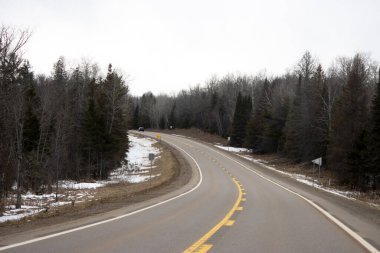 Kış orman karayolu