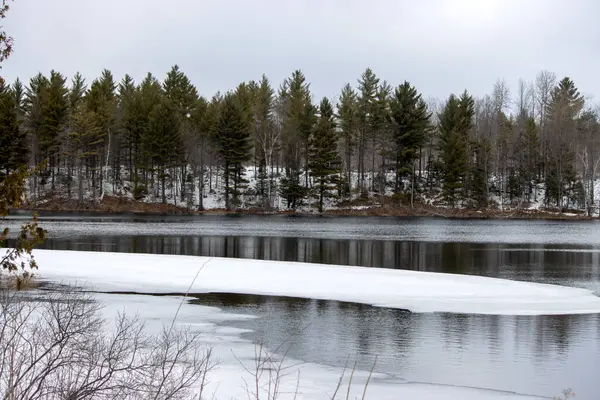 Michigan Yarımadası 'nın yukarısındaki bir gölde neredeyse buz gibi.