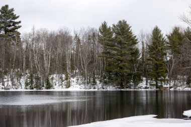 Kış gölü ve orman kışın