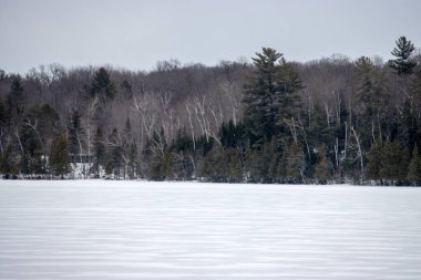 Kışın donmuş nehir