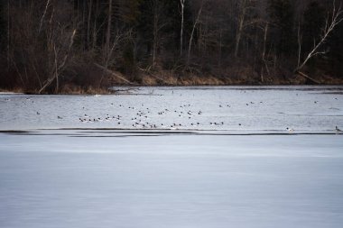 Kış mevsiminde donmuş nehir
