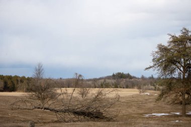 Köyde bahar manzarası