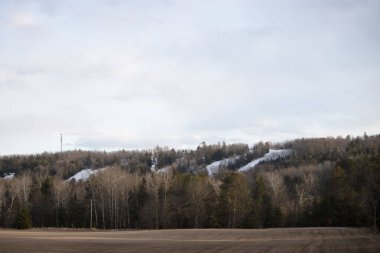 Ağaçlar ve karla kaplı kış manzarası