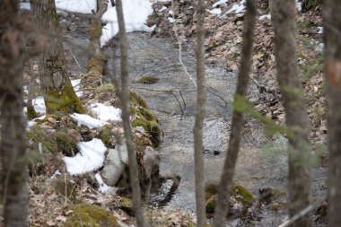 Güzel kış manzarası. doğa arkaplanı