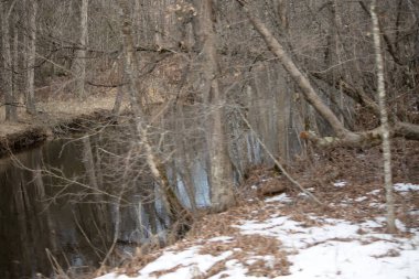 Ormanda baharda bir nehir