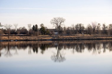 Parkta ağaçlar olan güzel bir manzara.