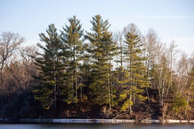 Kuzey Michigan ormanlarından geçen bir tren.