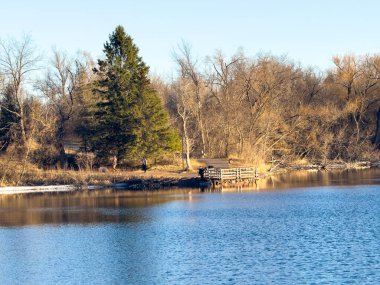 Akşamları ormanda bir göl