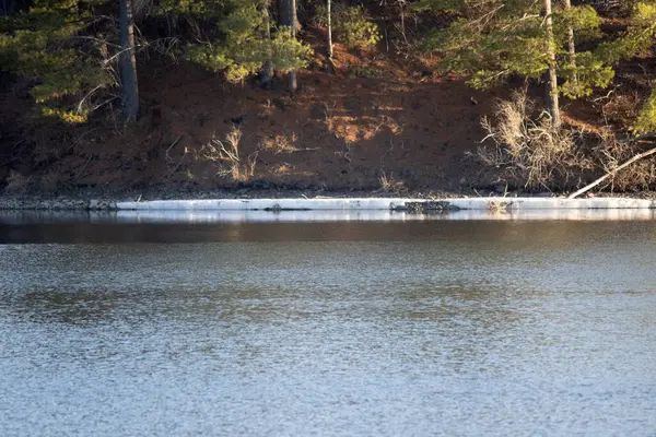 İlkbahar manzarası gölün kenarındaki ağaçlarla son kar kalıntılarını vurguluyor.
