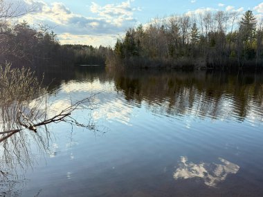 Suda yansımaları olan bir göl. yüksek kaliteli fotoğraf