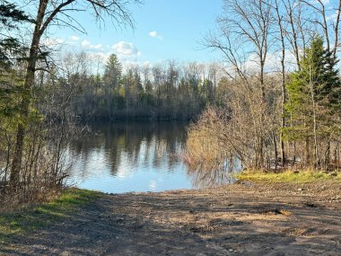 Ormandaki nehrin güzel bir görüntüsü