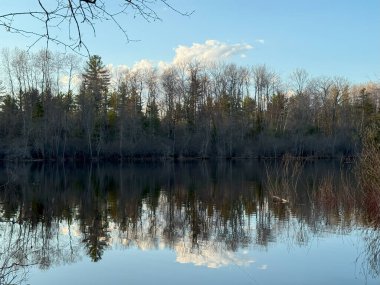 Ağaçlarla çevrili güzel bir göl.