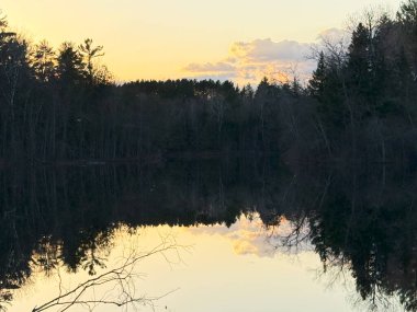 Gölün sularındaki ağaçların yansıması..