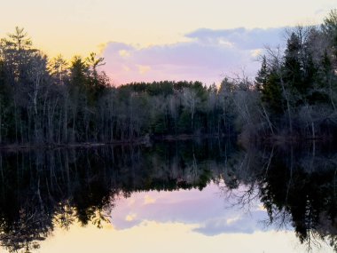 Ormanda sakin bir su yüzeyinde güzel bir gün batımı manzarası.