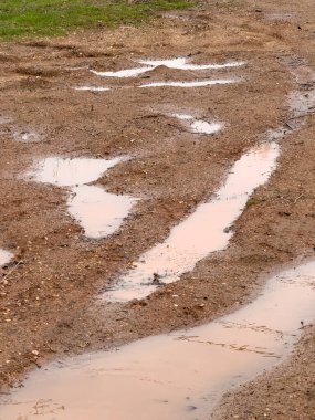 Yağmurda toprak yol.