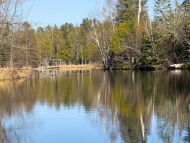 Ormandaki güzel göl