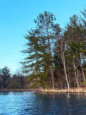 lake Forest