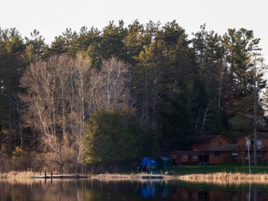 Ormandaki gölde bir ev.