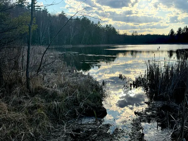 Sabahın köründe ormanda bir göl