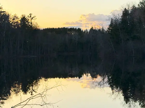 Gölün sularındaki ağaçların yansıması..