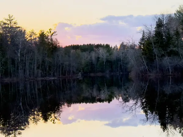 Ormanda sakin bir su yüzeyinde güzel bir gün batımı manzarası.